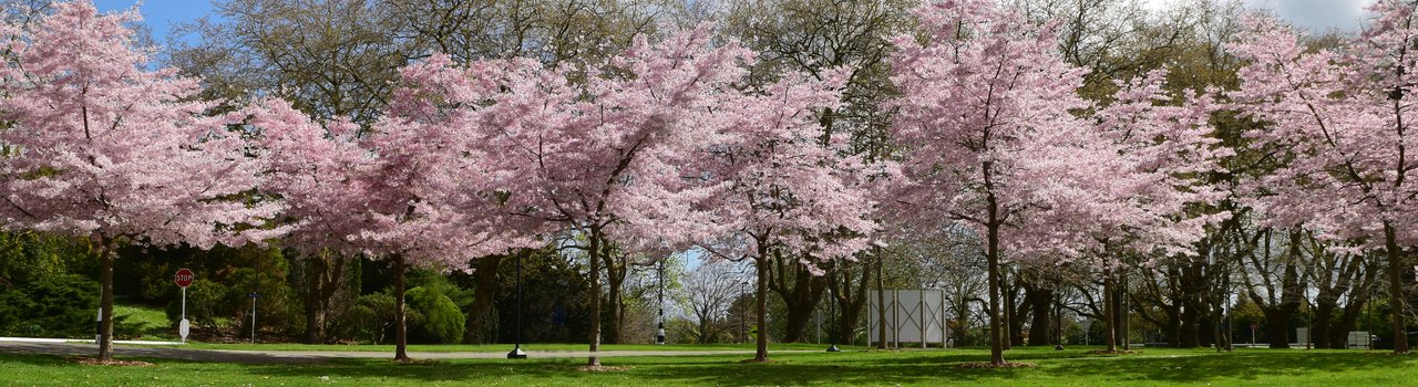 AdobeStock_399190441