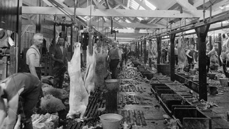 Belfast Freezing Works