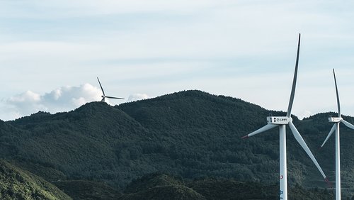 Climate change_Wagtail.jpg