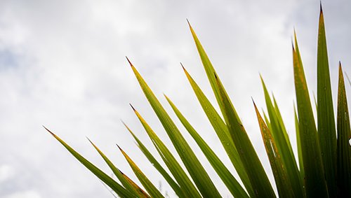 climate_tile_action-iwihapu