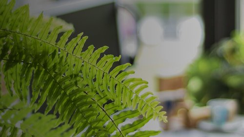 Discover2025_17-04_Member Support_WebBanner