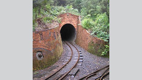 Driving Creek Railway 1