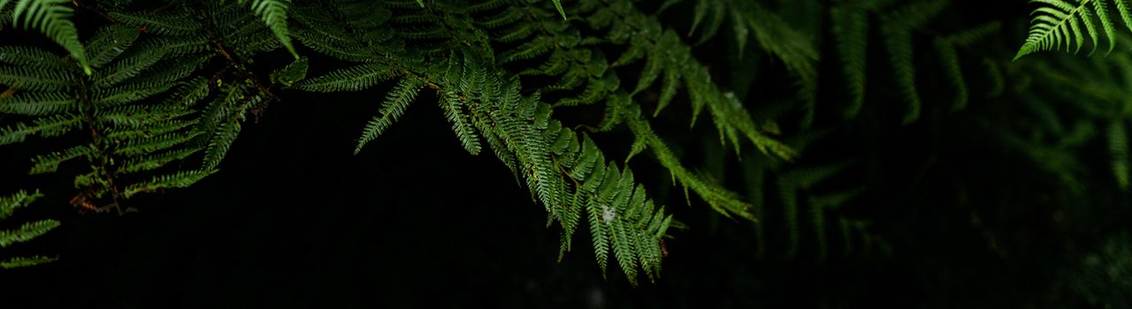 EG23_TeresaPoliBanner