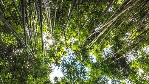 EG24_Degrowth_banner