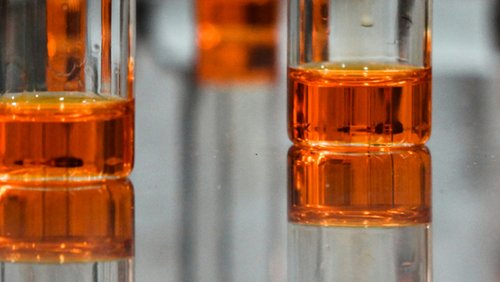 EG26_ConanFee_Banner