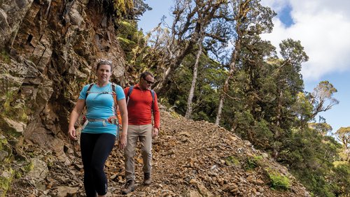 EG26_Pike29Walk_Banner