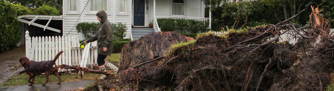 EG26_RiskClassification_Banner