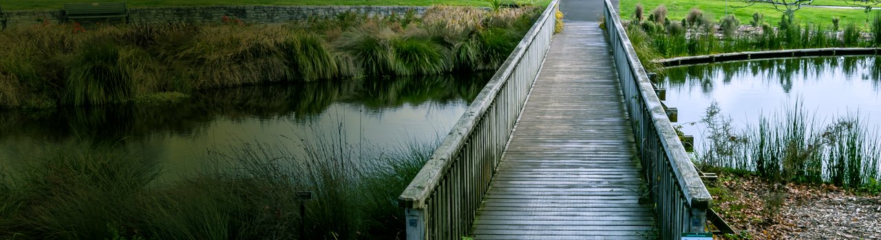 EG27-TeAoMaori-banner