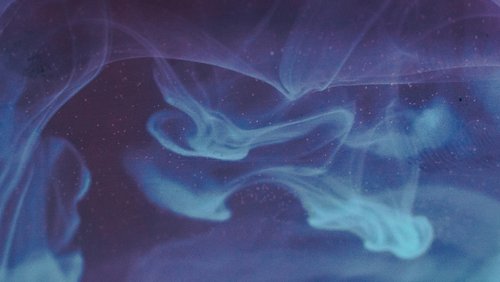 EG27_Kelly Burrows_Web Banner