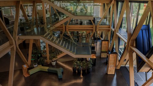 EG31_Timber_WebBanner