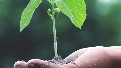 Giving-feedback_banner-1296x350