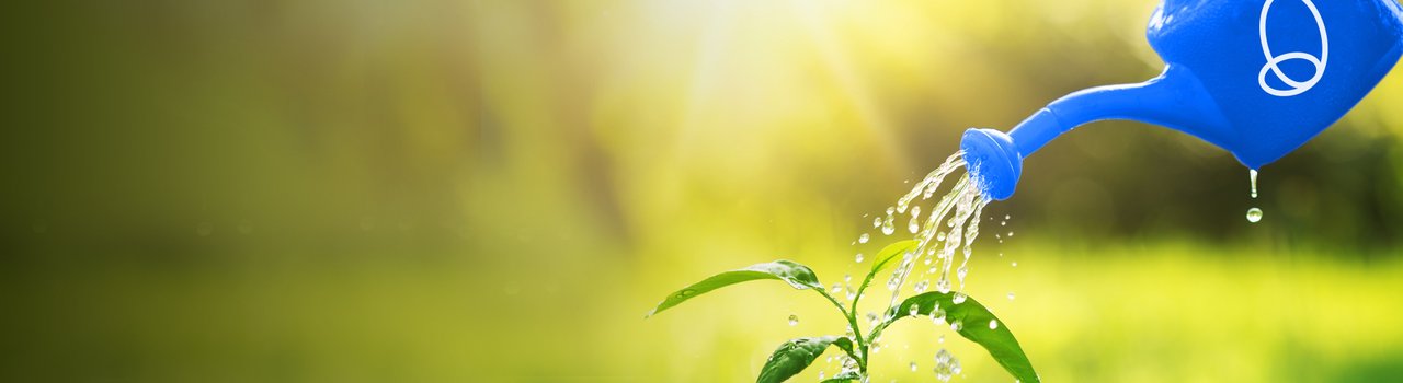 GrantProgramme-Banner