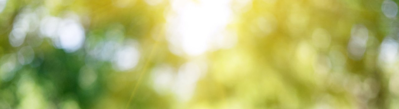 health_essentials_BANNER