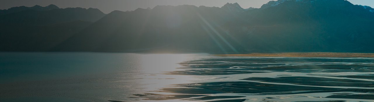 JanEvansFreemanPresident_WebBanner