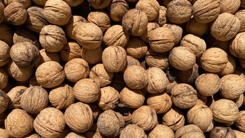 walnuts