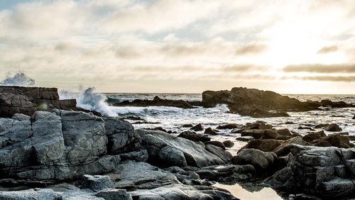 New Zealand Coastal Society
