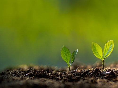 ProfessionalDevelopment_BANNER