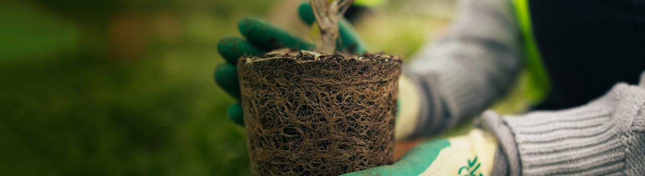 SustainabilitySociety_WebBanner