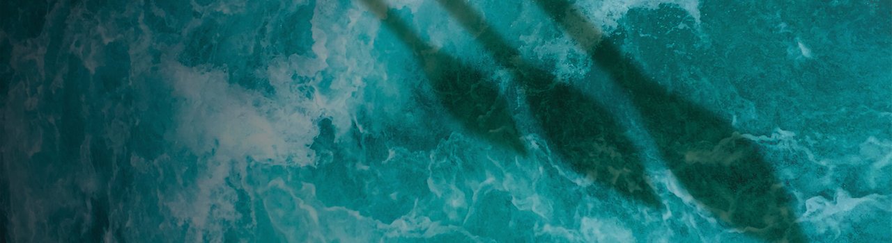 Wānanga_Homepage banner