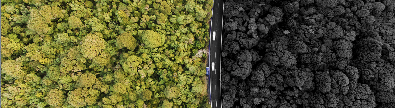 Feature_Carbon Neutral_iStock-1006002976_RGB.jpg